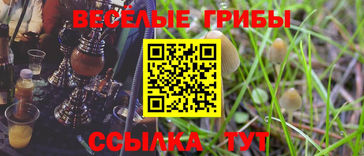 Орёл  Псилоцибиновые грибы мицелий  даркнет сайт  Вход с VPN 